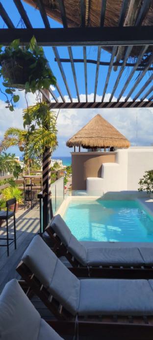 Maui Hostels Playa del Carmen 2