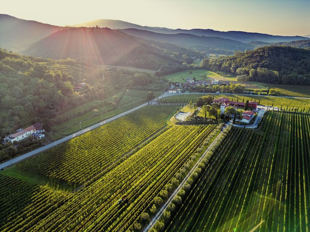 Il Roncal Wine Resort - for Wine Lovers only 1