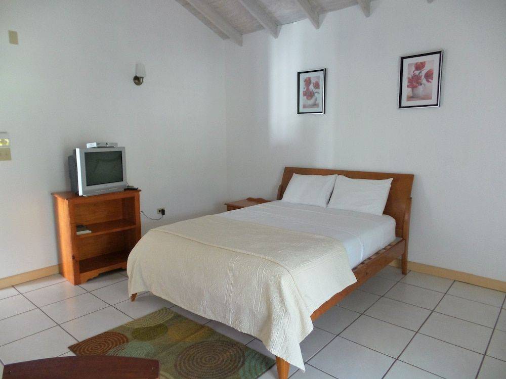 CoCo Rose Guesthouse, Carlisle Bay | Best deals | lastminute.com