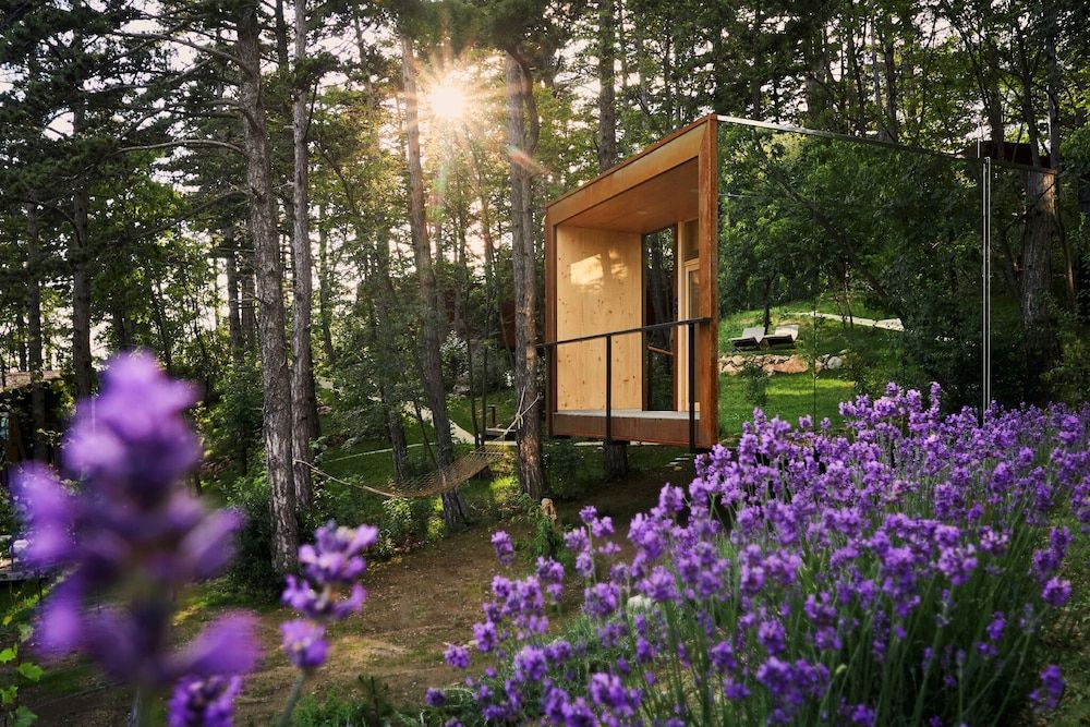 Theodosius Forest Village - Glamping in Vipava valley 1
