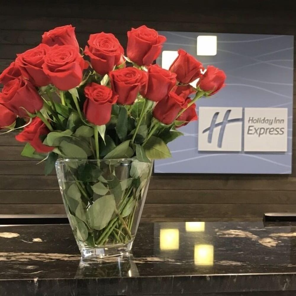Holiday Inn Express & Suites MADISON CENTRAL by IHG 2