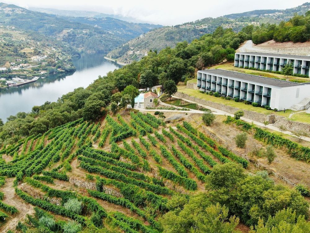 Douro Palace Hotel Resort & SPA 1