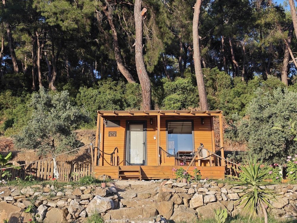 TİNY MİNİ HOUSE 1