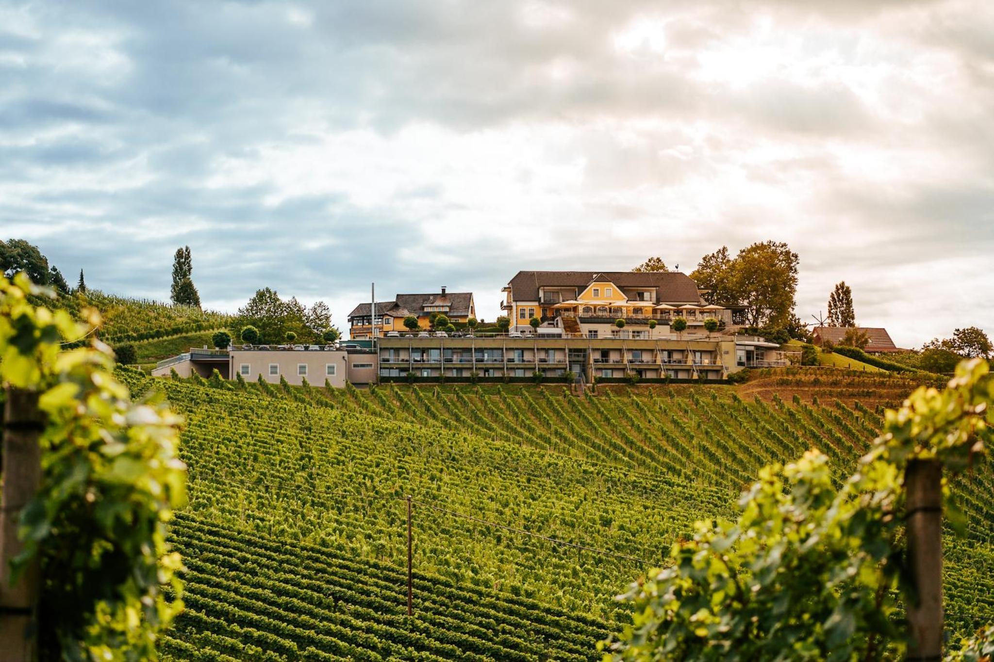 Weinrefugium Brolli 1