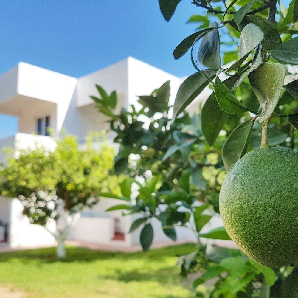 CASA MIKELE by Sarikas - SEA SIDE SUITES and STUDIOS -adults only 1
