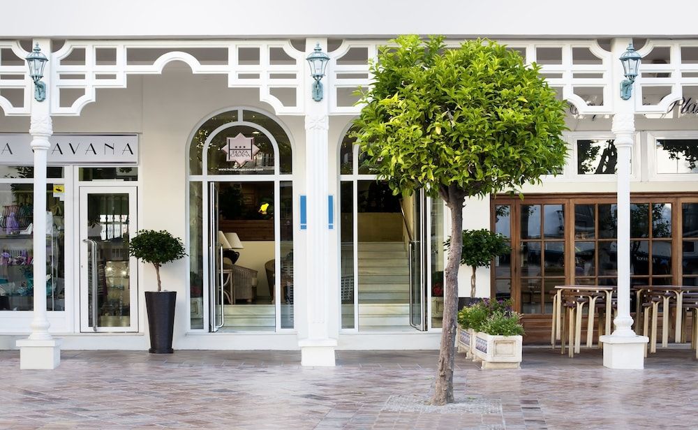 Hotel Plaza Cavana 2