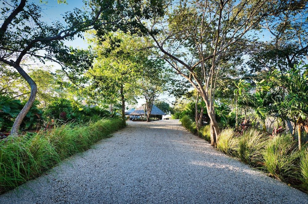 Mikado Natural Lodge 2