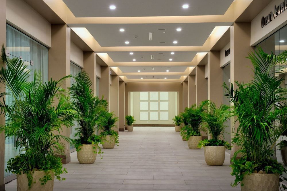 JW Marriott St Maarten Beach Resort & Spa 2