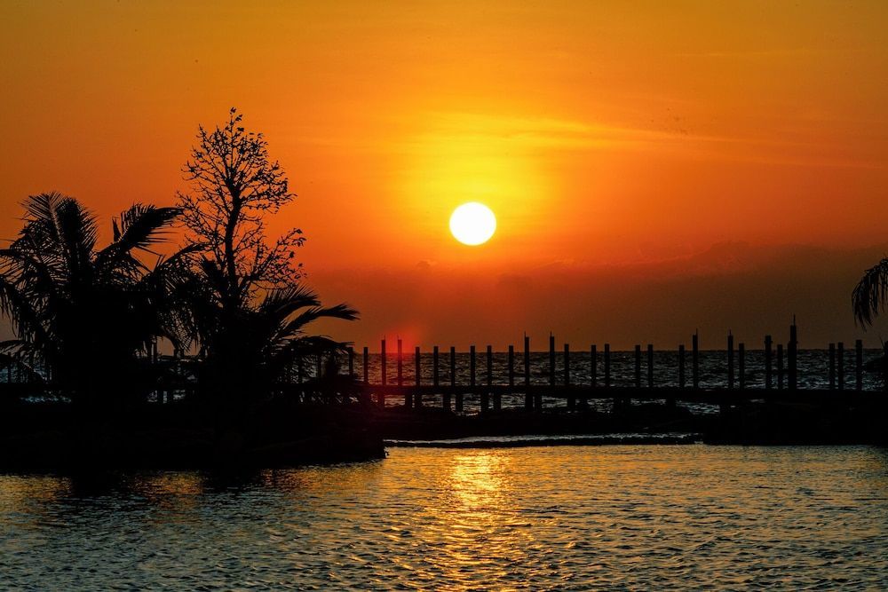 Mango Beach Resort 1