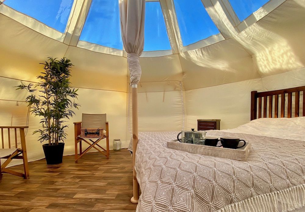 Stargazer Tent 2 1