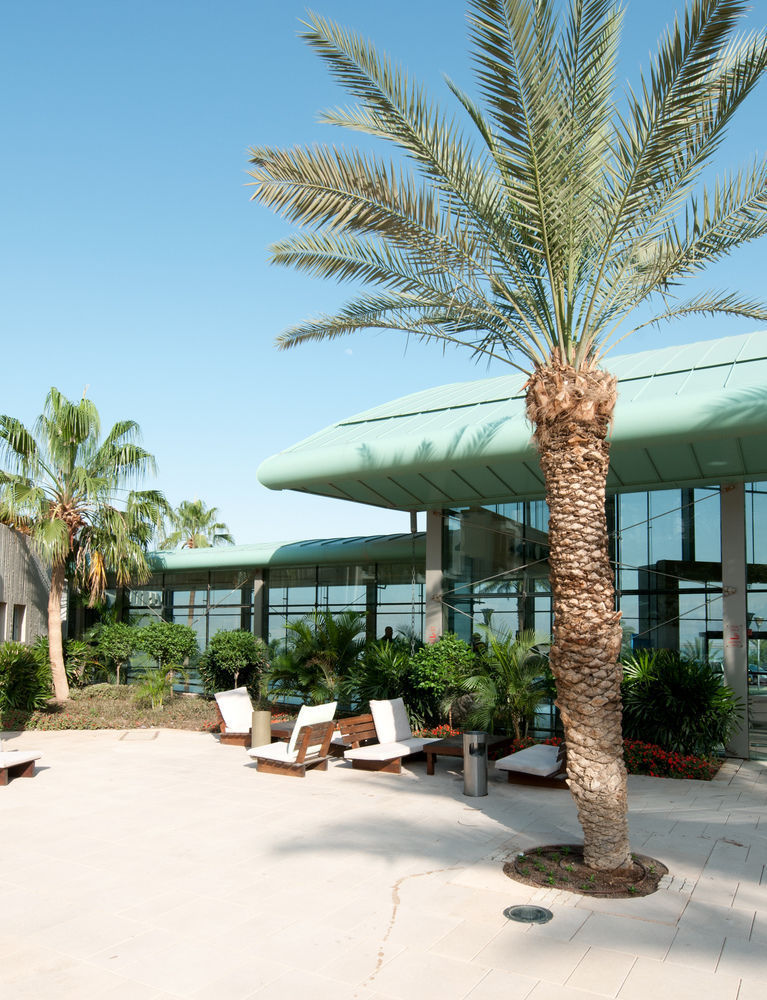 Spa Club Dead Sea 2