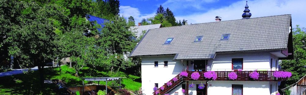 Apartments Lake Bohinj Medja 1