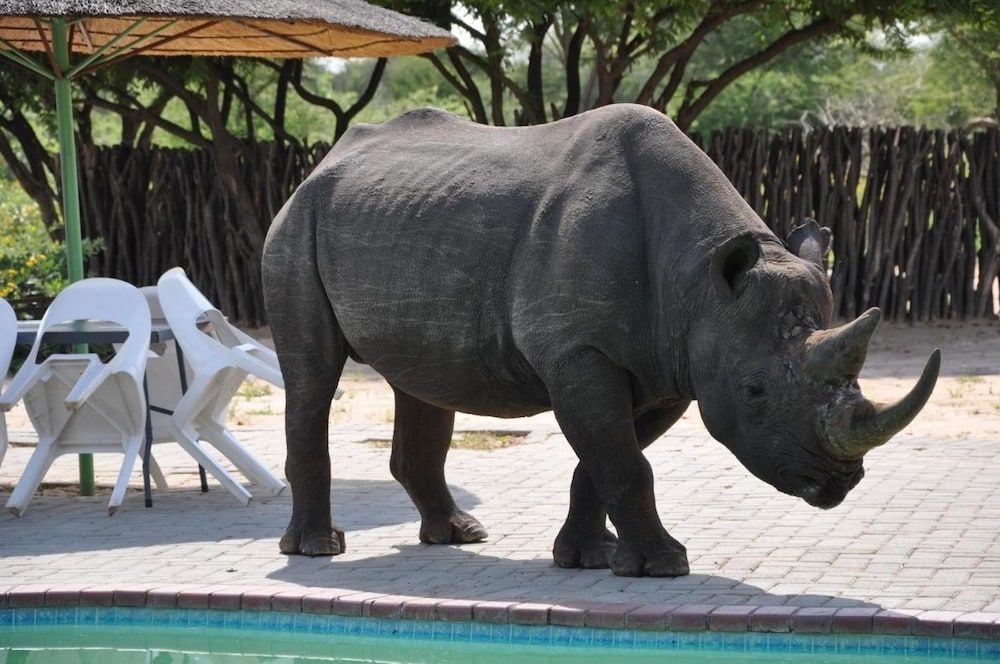 Khama Rhino Sanctuary 1