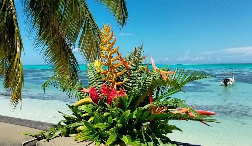 Moorea Island Beach 2
