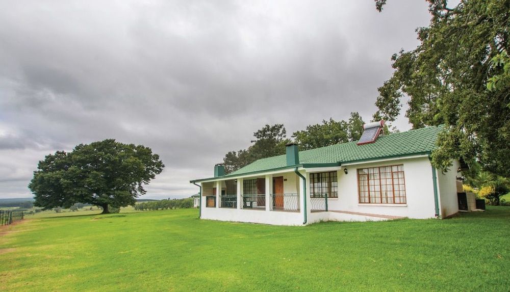 Hoyo Hoyo Machadostud Lodge 1