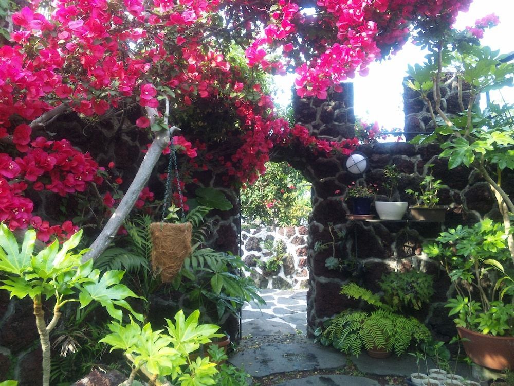 J-Garden 1