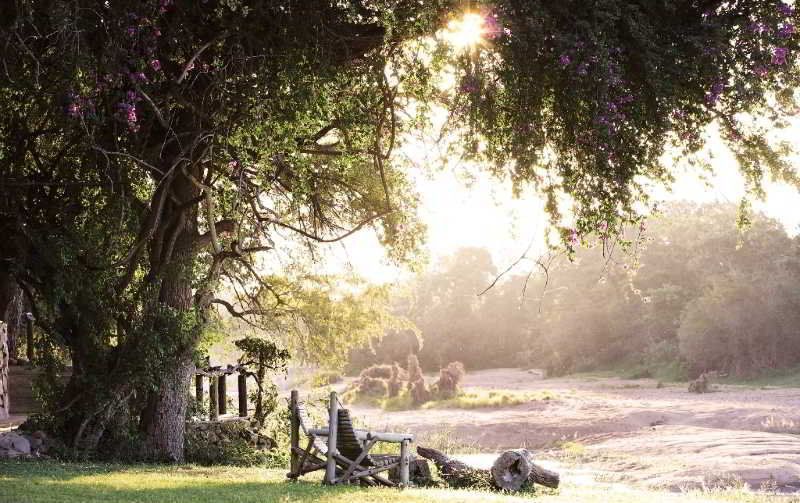 Motswari Private Game Reserve by NEWMARK 2