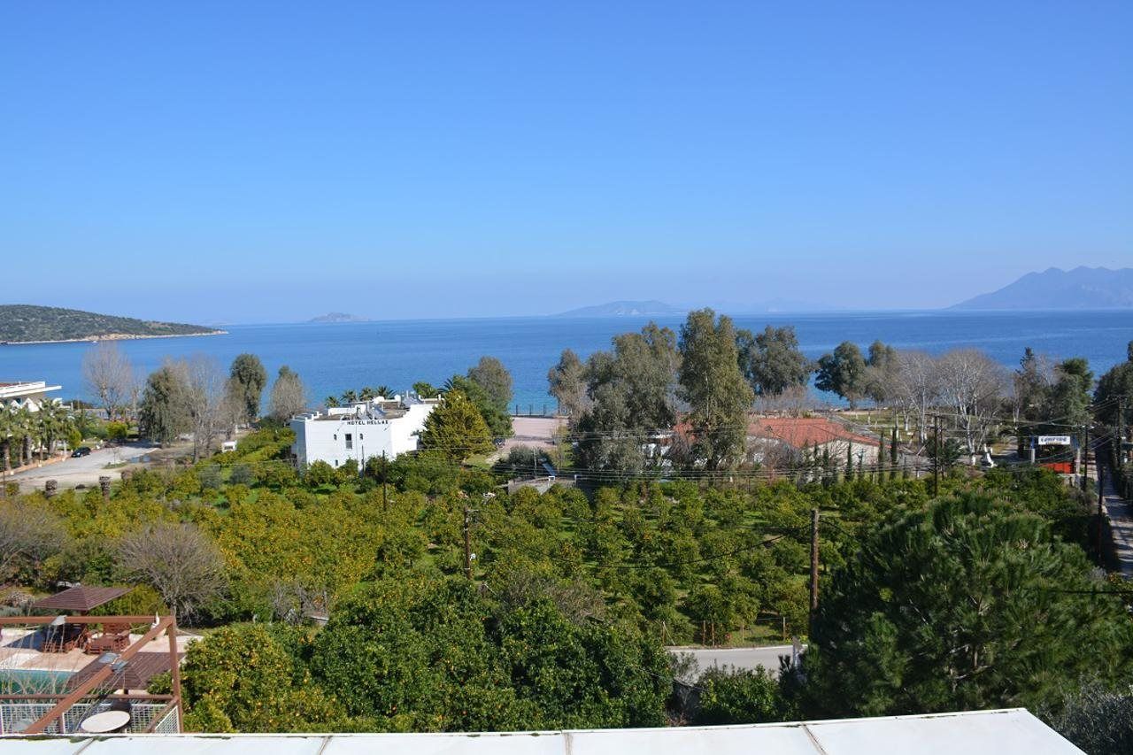 Aristotelis 2