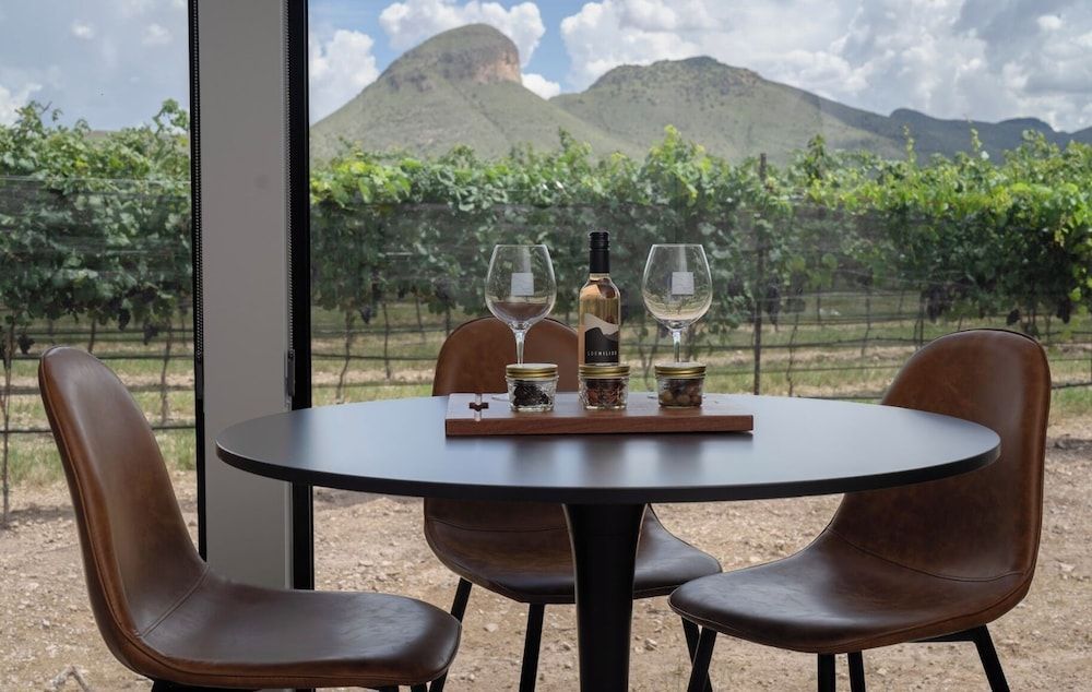 Casitas at Los Milics Vineyards 2