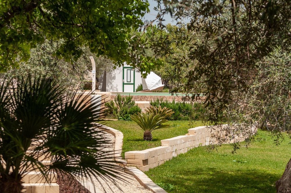 Tenuta Olive Alive 2