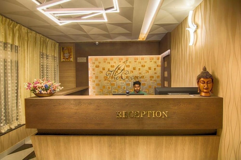 The Cocoon 1