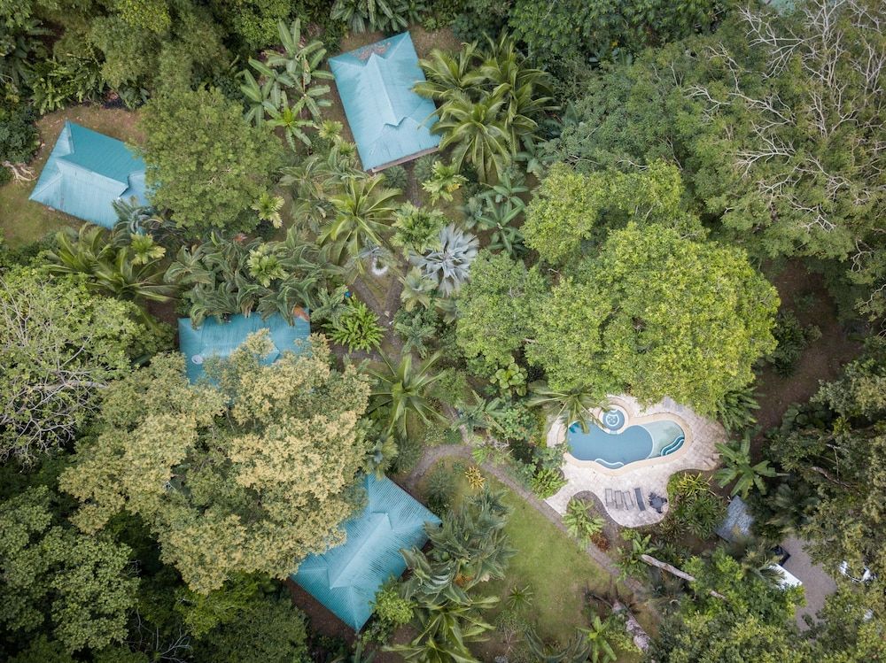 El Nido Jungle Lodge 1
