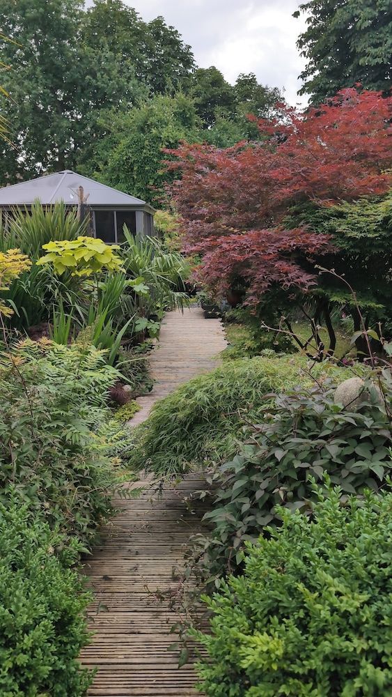 Tropical Garden Oasis 1