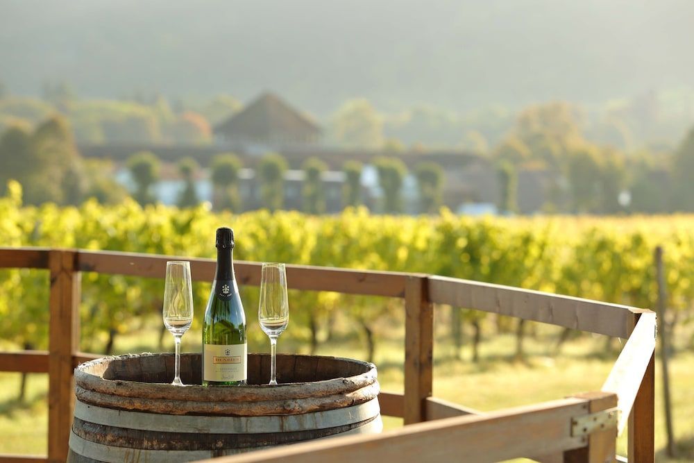 Denbies Vineyard Hotel 1