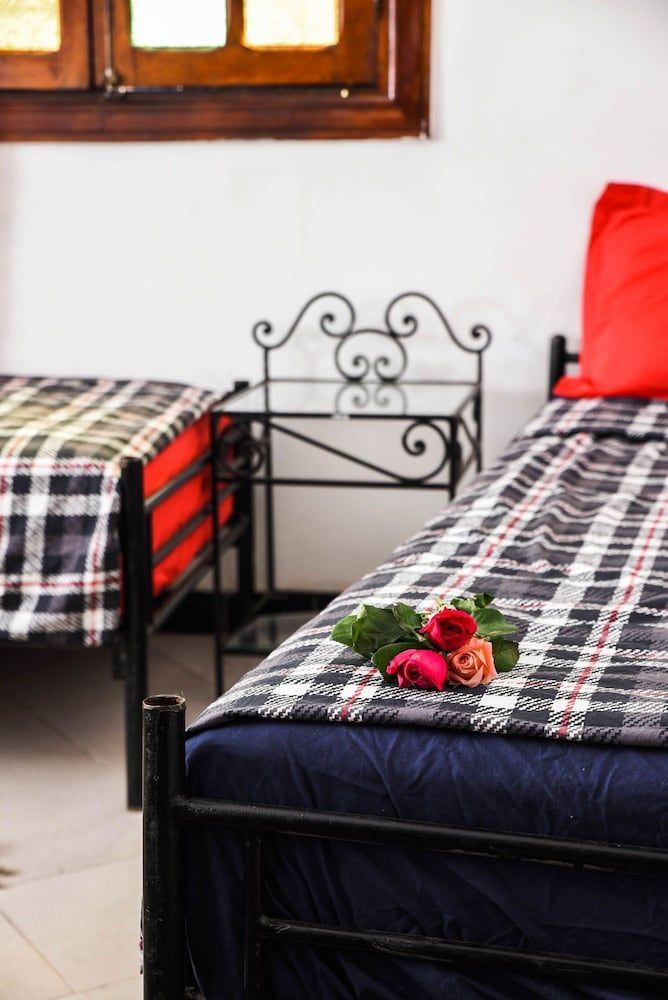 Peace Hostel - Adults Only 2
