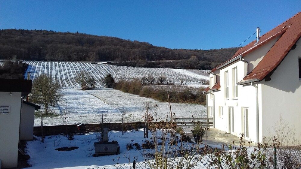 Aux vignes 1
