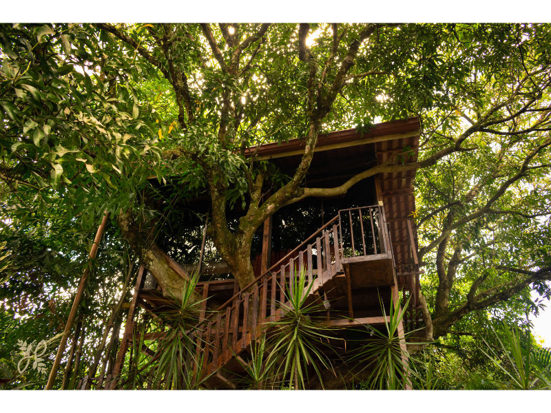 Heliconias Nature Inn & Hot Springs 2
