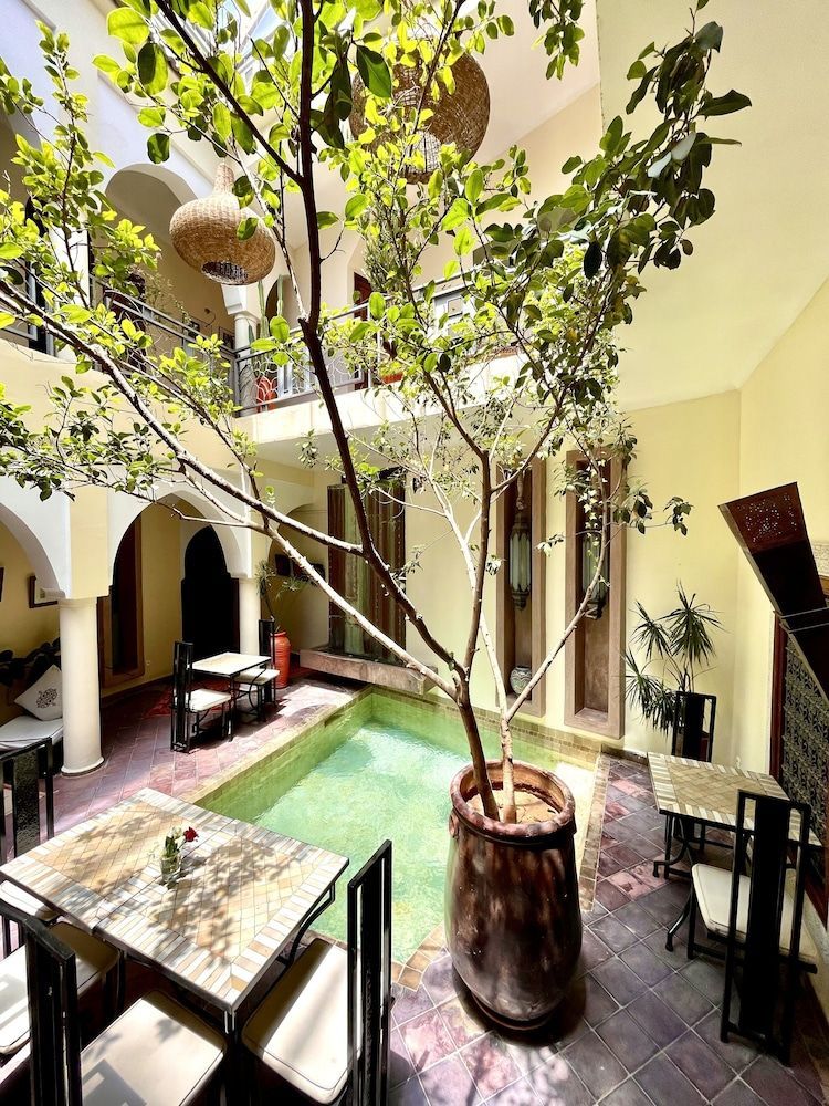 Riad Jardin Des Rêves 1