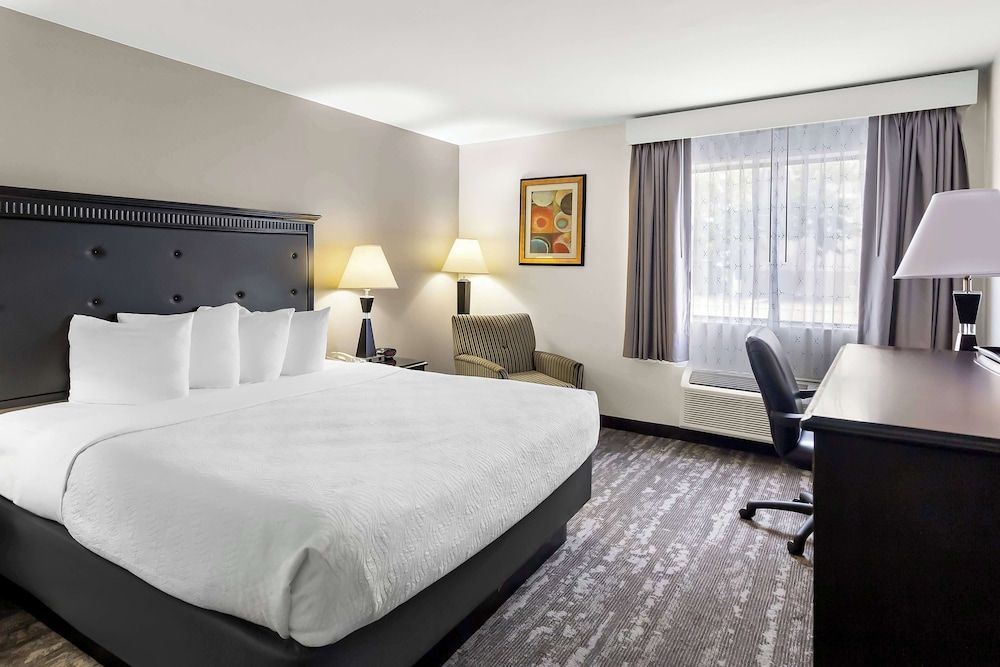 Best Western Saluki Inn 1