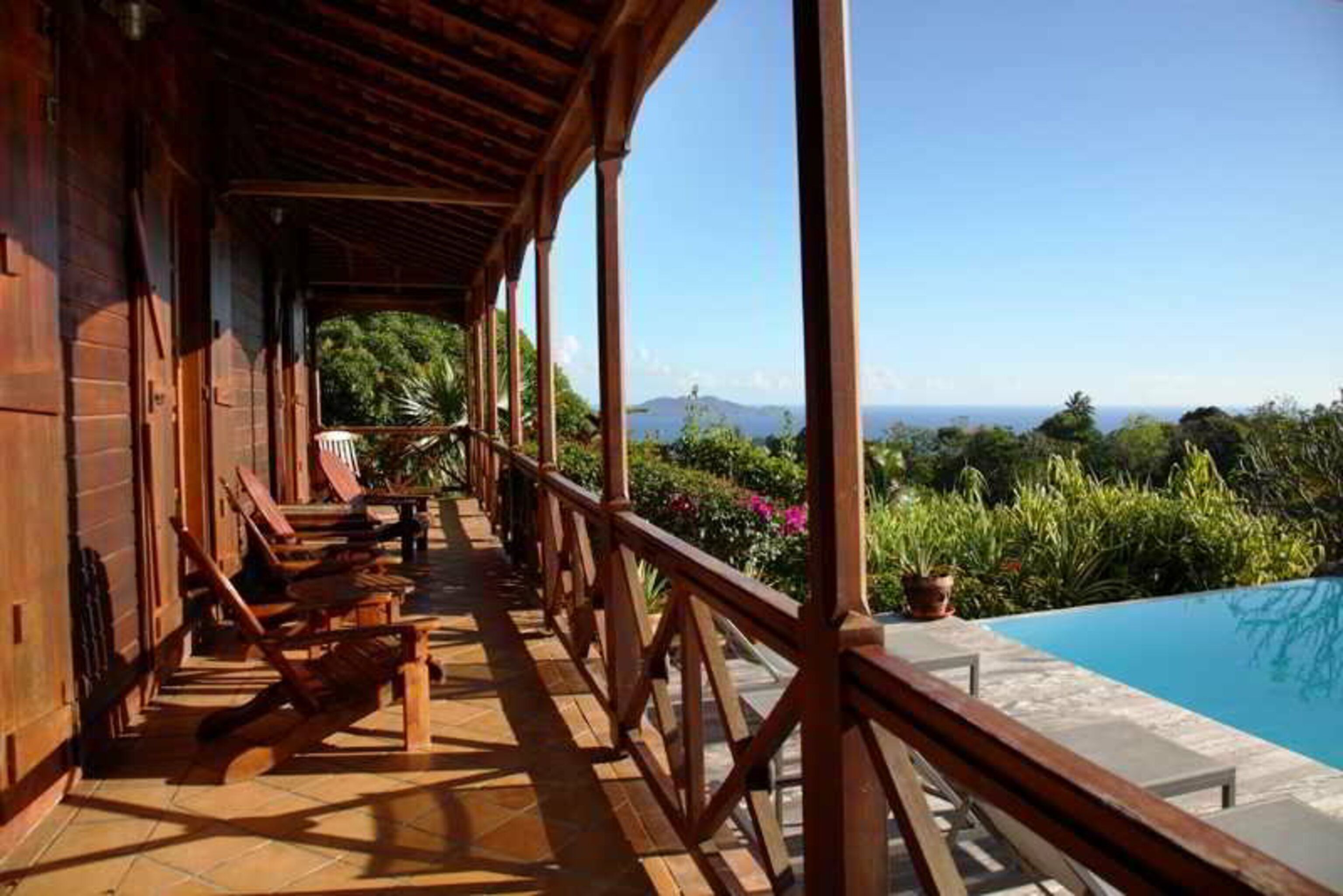 Jardin Malanga 1