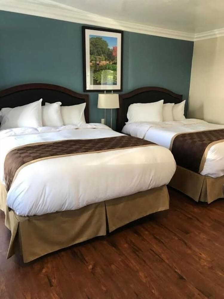 Rex Motel 2