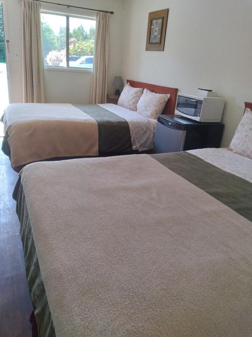 Dolphin Motel 2