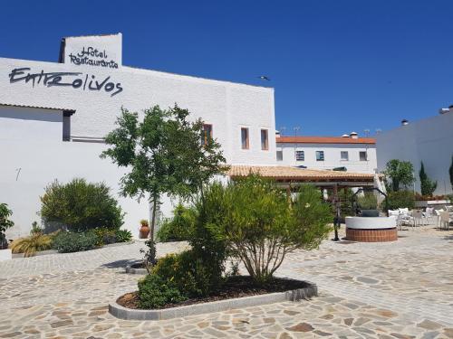 Hotel Entreolivos 1
