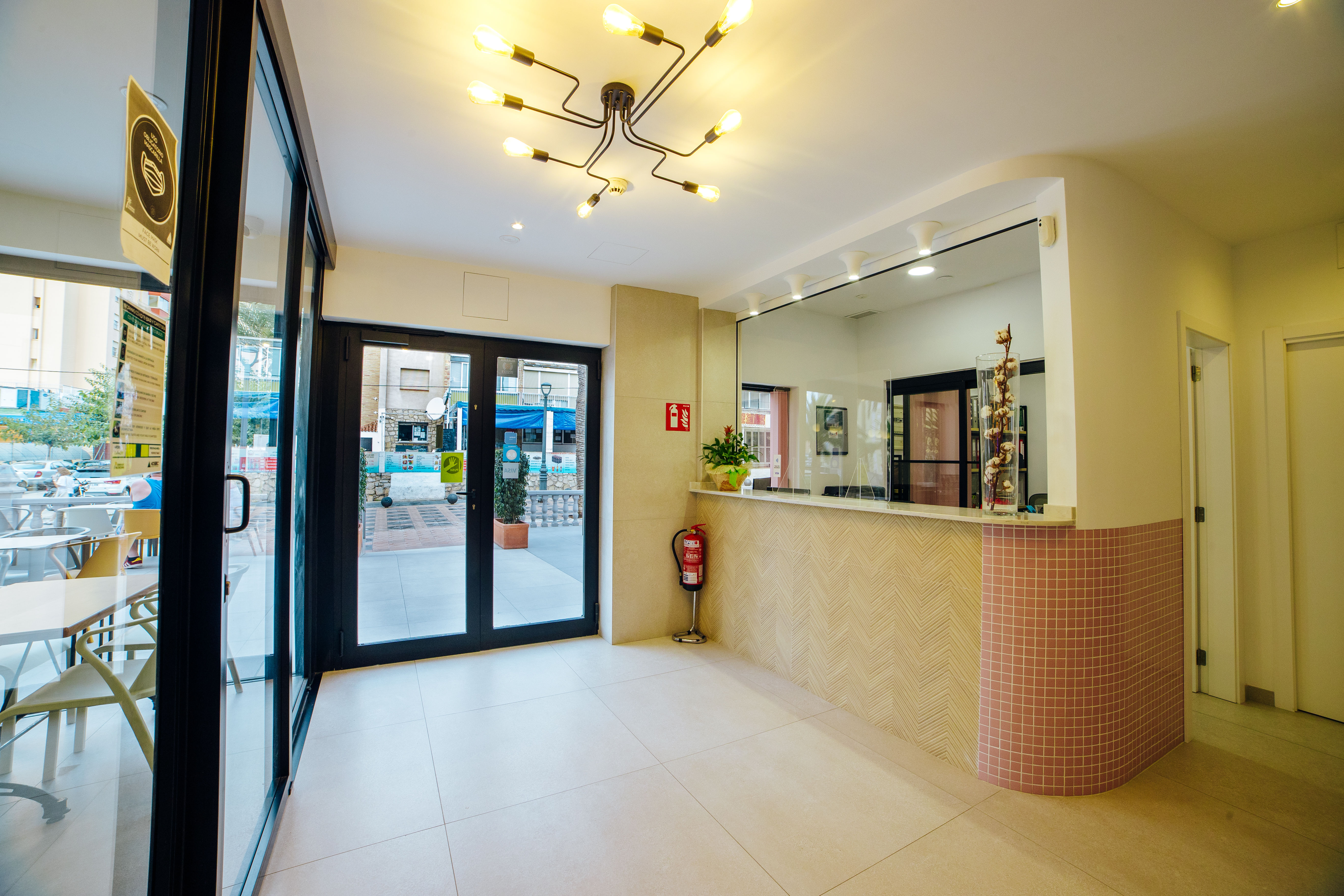 Apartamentos Palm Court 1