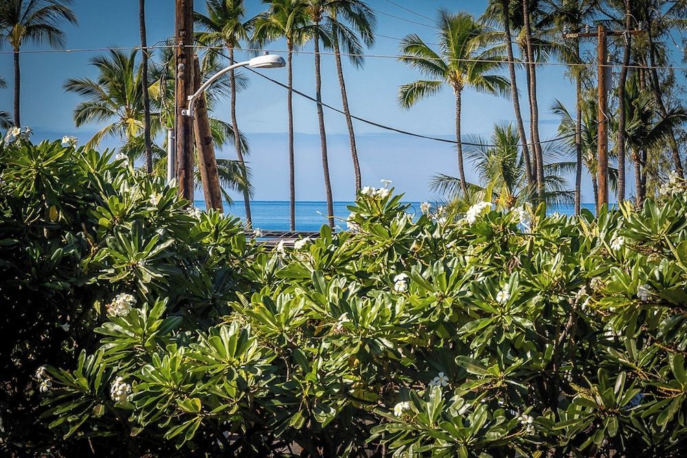 Kihei Beach Paradise Steps to Sun, Sand & Snorkeling 2