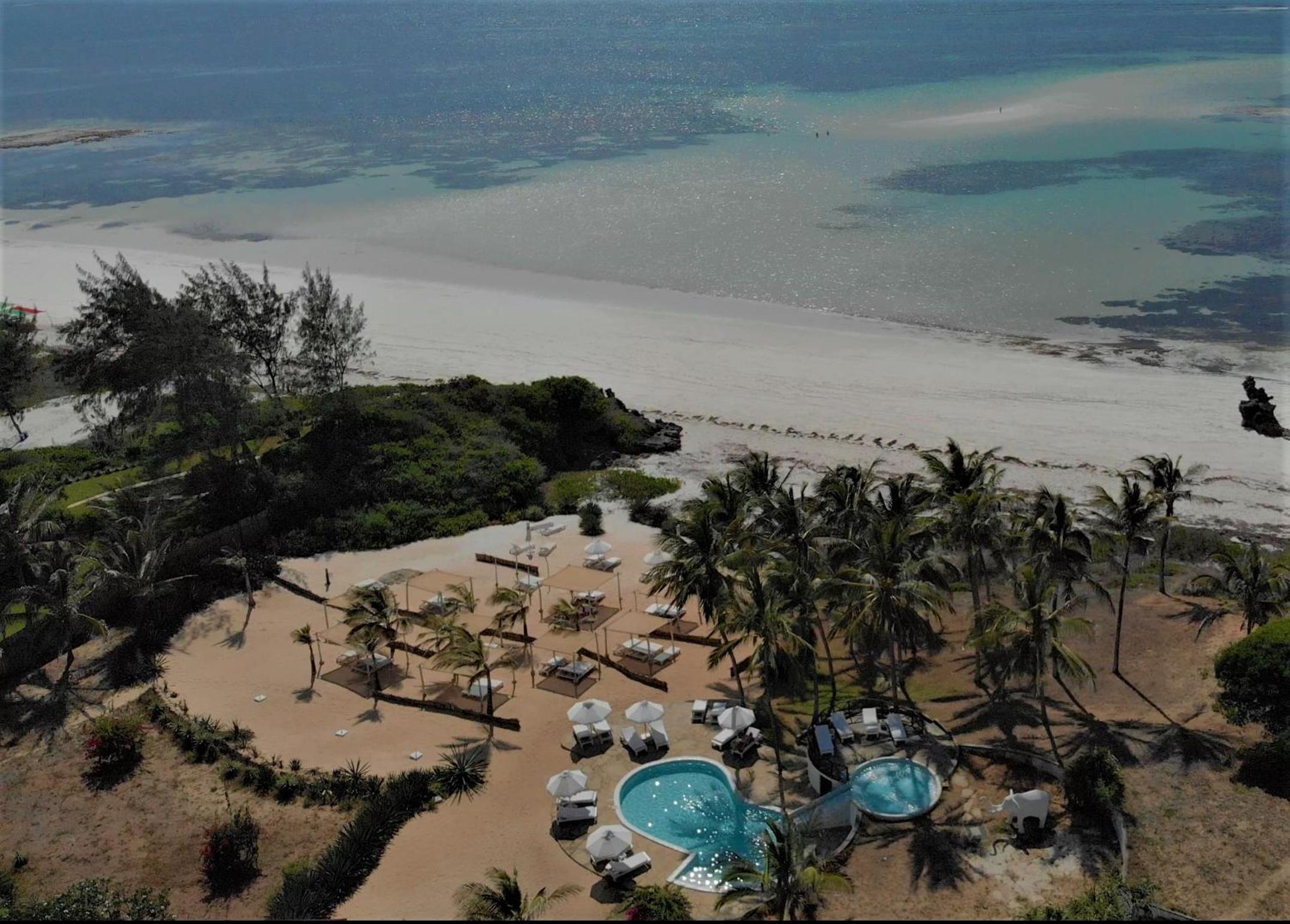 Gecko Resort 2