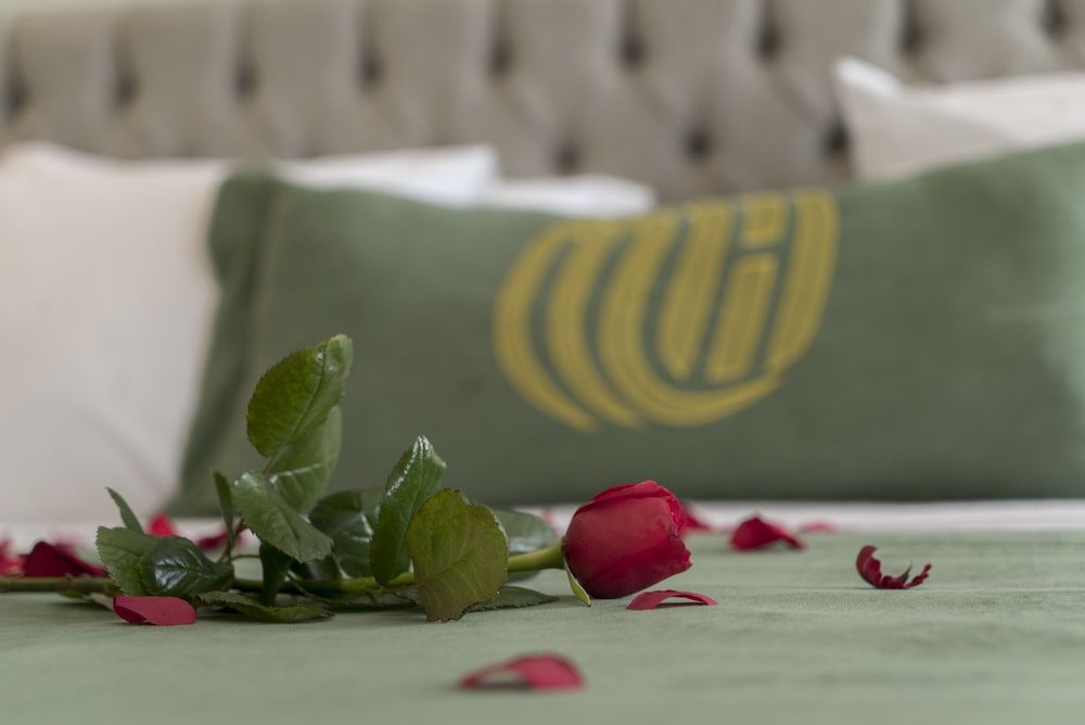 Mirart Hotel Boutique & SPA Yalova 2