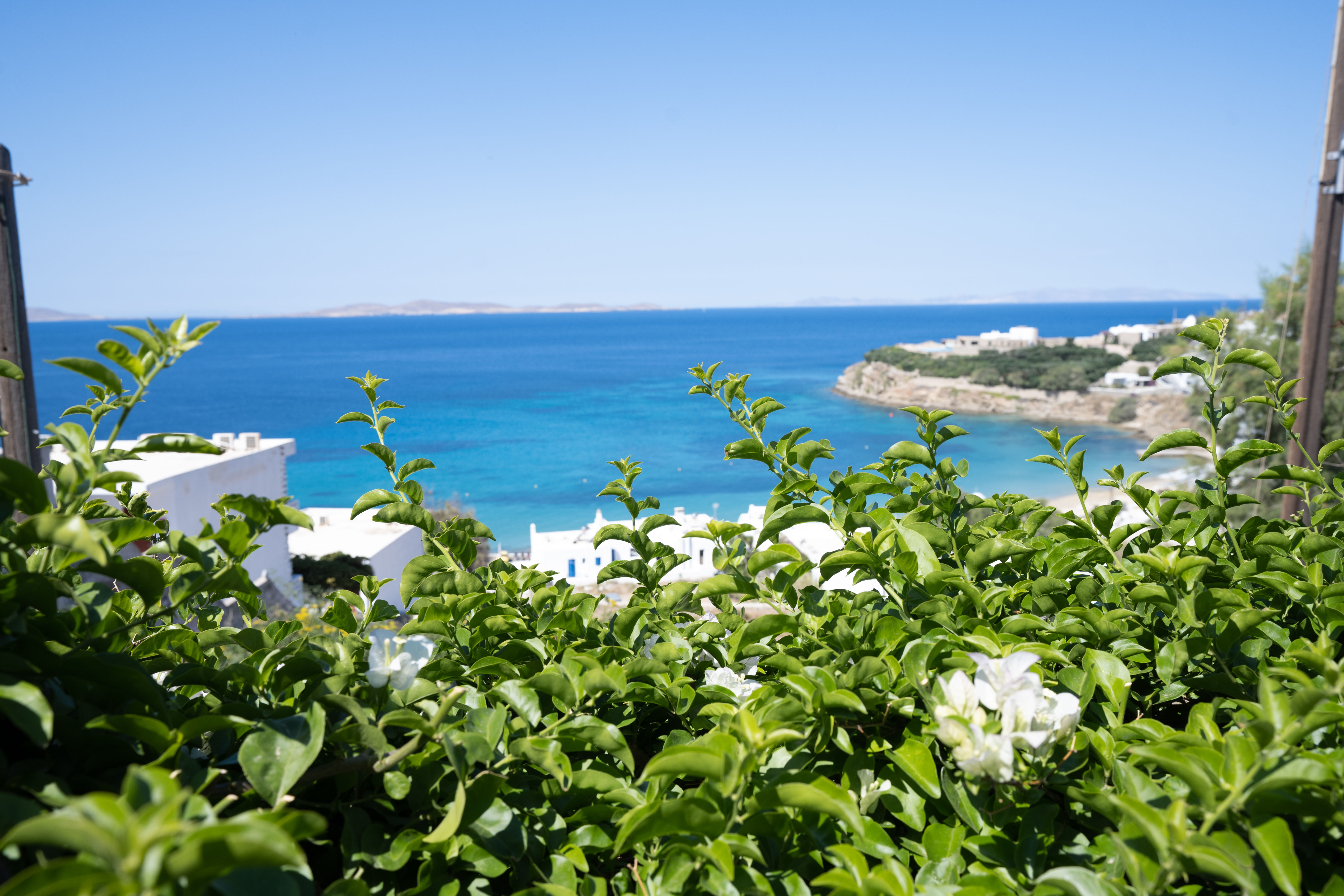 Zisis Pension 2