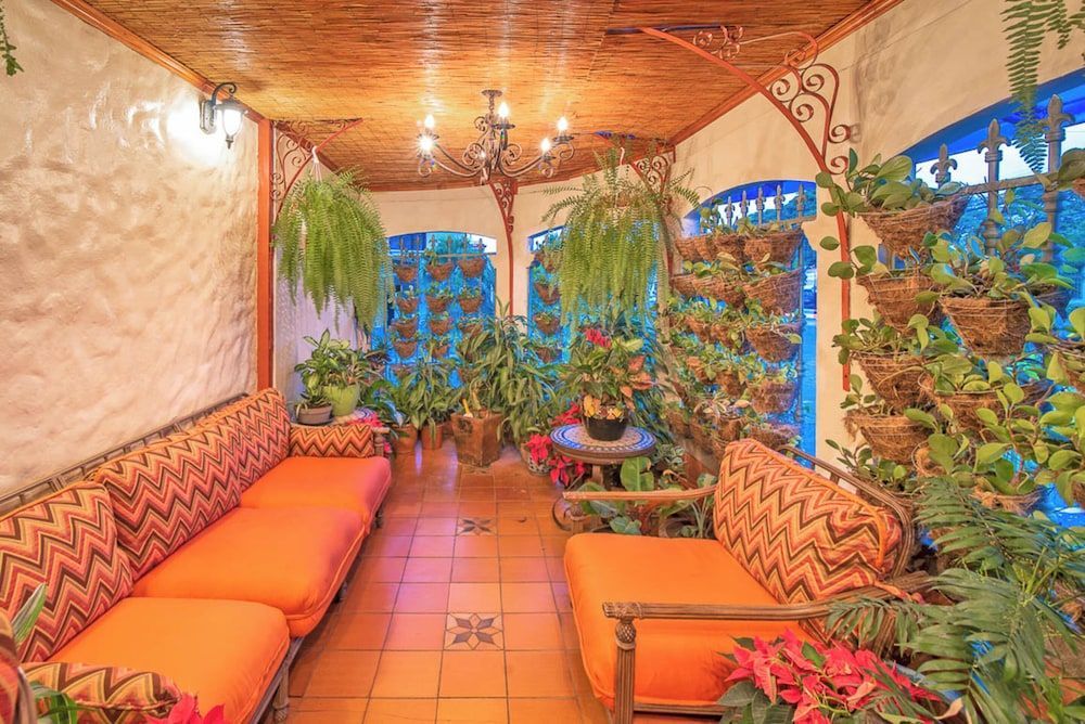 Hotel Casa Roland San Jose 2
