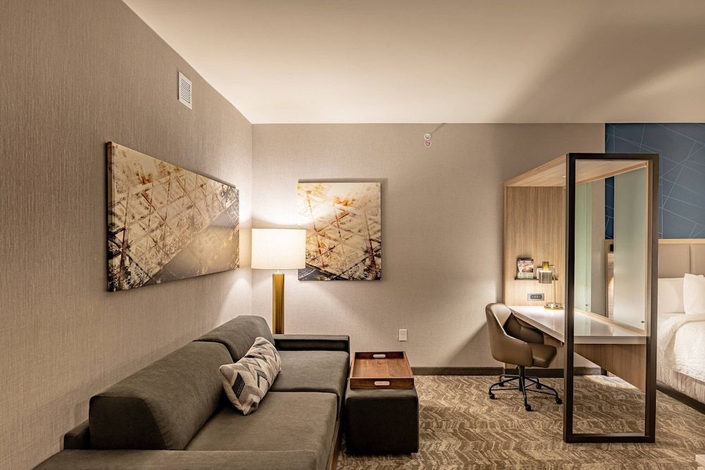 SpringHill Suites by Marriott Dallas McKinney 1