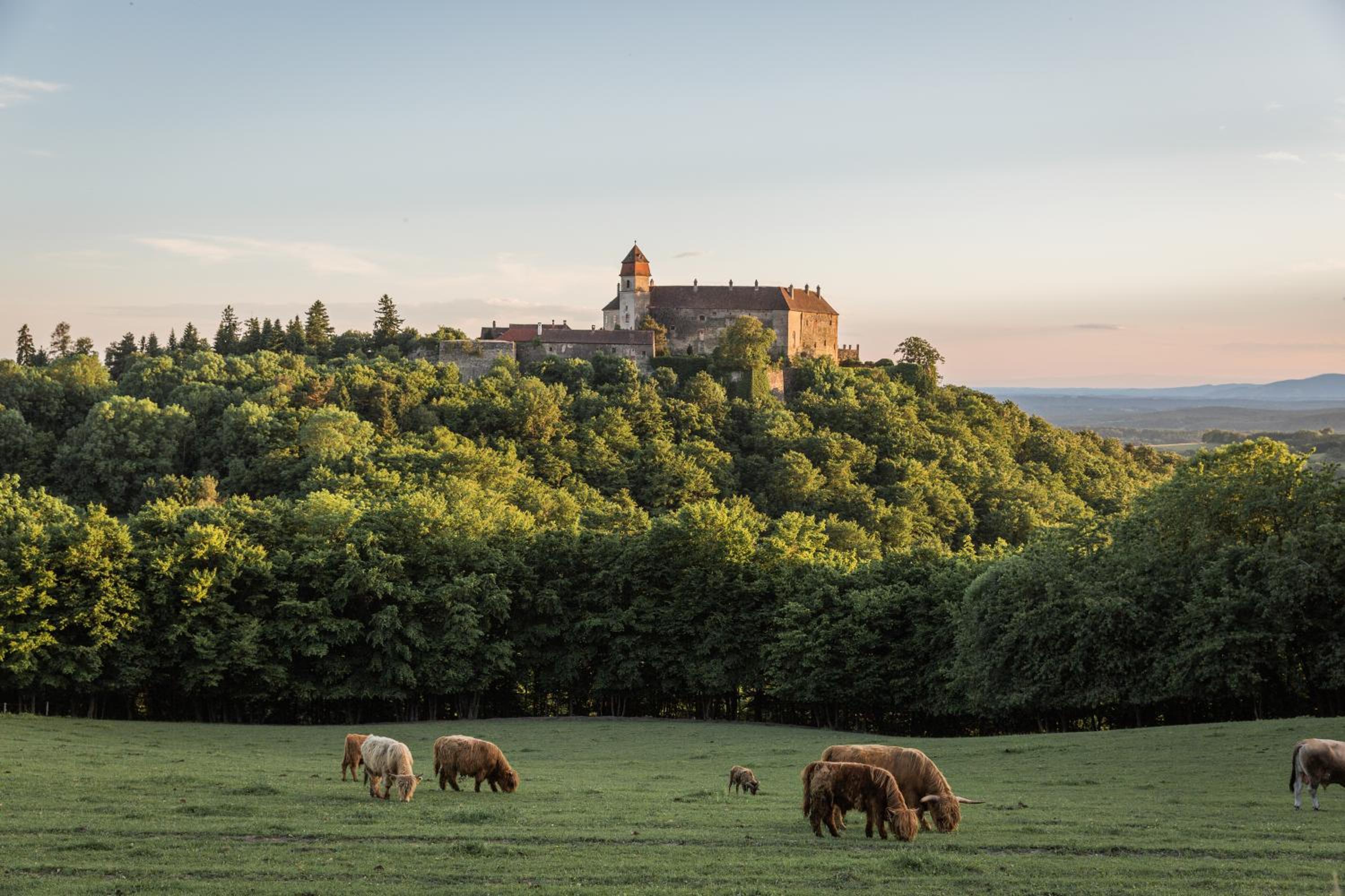 Burg Bernstein 1