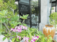 The Nest Resort Patong 2