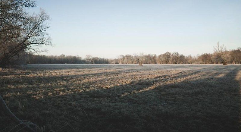 Waldhotel Eiche 1