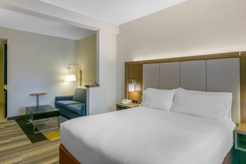 Holiday Inn Express & Suites MOUNT ARLINGTON-ROCKAWAY AREA by IHG 2
