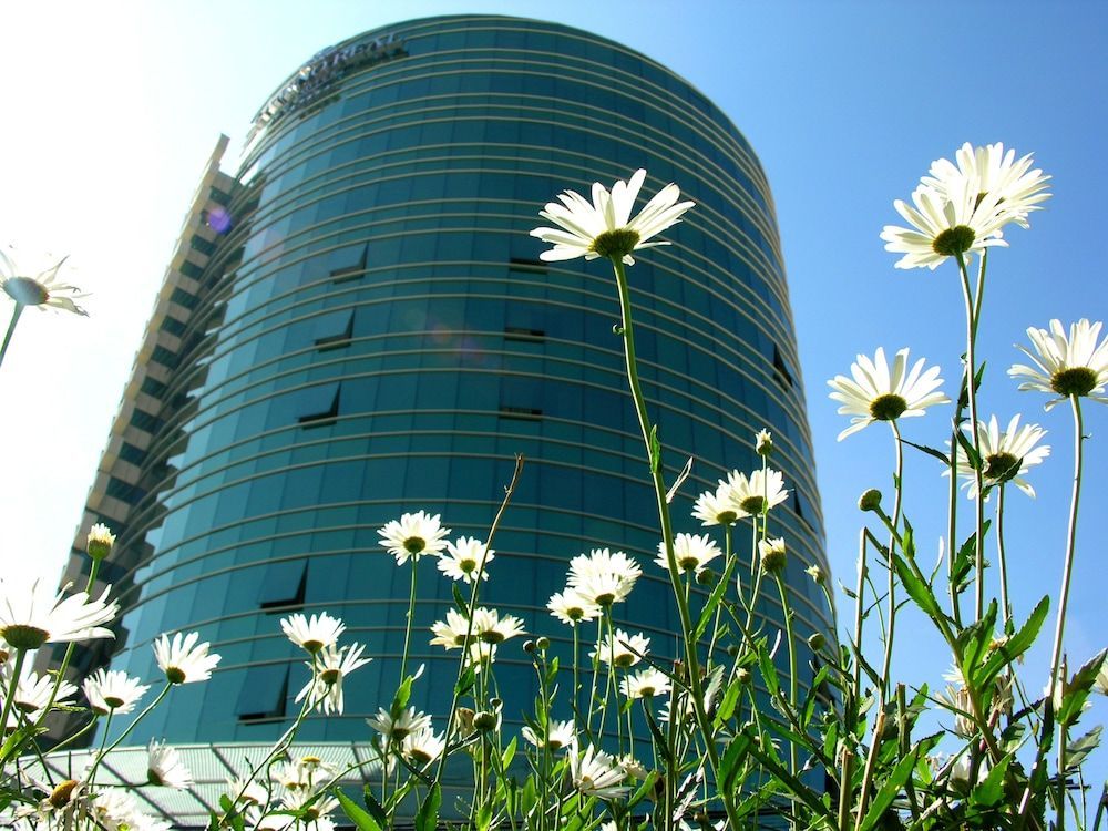 Suites Camino Real 1
