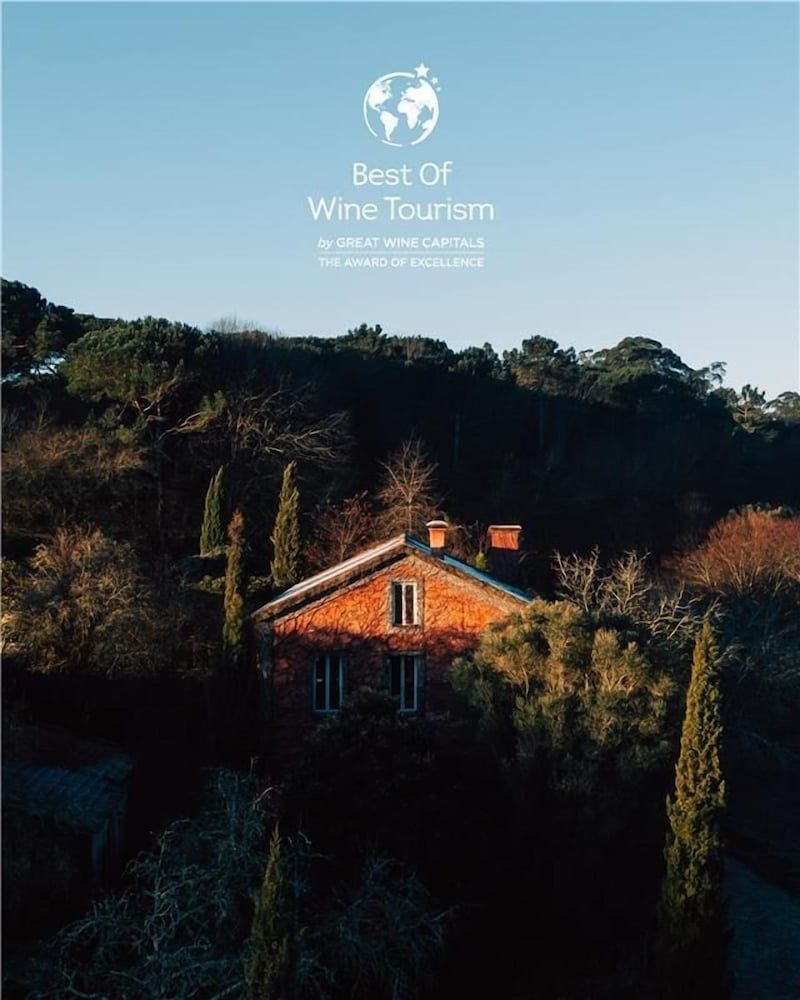 Wine Tourism - Quinta do Ameal 1